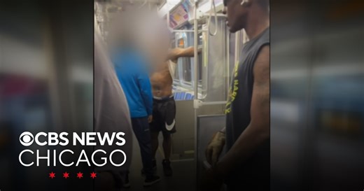 Altercation on Red Line train highlights safety concerns on CTA