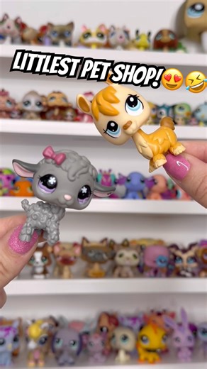 Littlest Pet Shop dance!😍🤣 #littlestpetshop #dance #toys #cute #funny #lpscollector