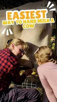 Beginner's FIRST Hand Milking Lesson on a REAL Cow!
