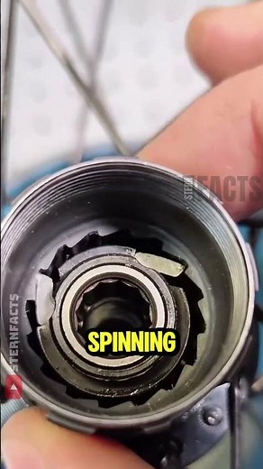 How the Bicycle Freewheel Actually Works ⚙️