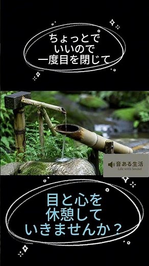 ししおどしの音で心を整える🎋 竹と水の癒し音 #shorts #ししおどし #relaxing
