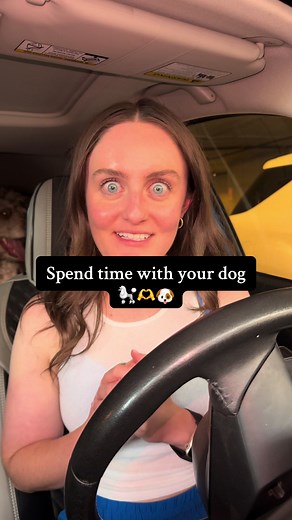 Dog Training Tips for First-Time Owners