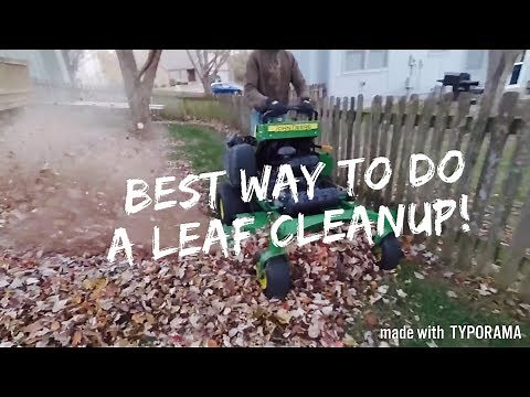 How To Do A Leaf Clean Up Quickly and Efficiently!