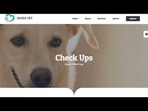 PET | Web Design | Veterinary Clinic
