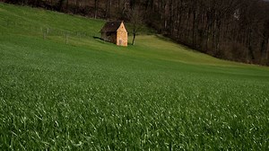 草地 草 春天的草地 - Free video on Pixabay