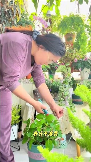 Essential Shopping Tools for Constant Shoppers - Your Ultimate Guide