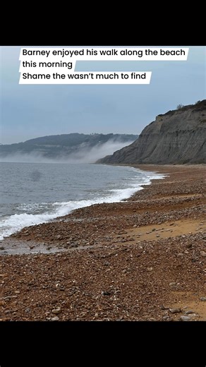 22K views · 327 reactions | Not much on the beach today A ammonite for polishing and a nice chunk of fossil wood in a limestone nodule | Charmouth Fossils | Facebook
