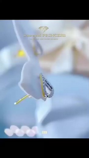 Diamond PRINCESS on Reels | Facebook