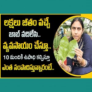 70K views · 1.7K reactions | How to start Natural Organic Farming || Surya Greens || Self Employment Business Ideas || SumanTV Money #organicfarming #earning #selfemployment #howtoearnmoney #sumantvmoney | Sumantv Money | Facebook