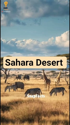 सहारा Desert: दुनिया का Largest Hot Desert! 🌍 9.2 Million Sq KM Facts #facts #saharadesert #shorts