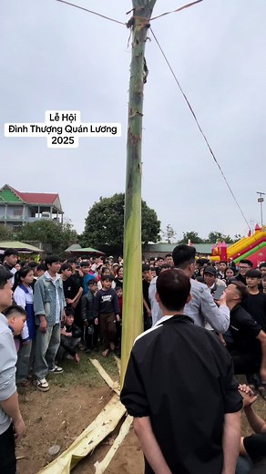 Chỉ cần 20s cả lên ngọn và xuống gốc 😅 #lễhội #phúthọ #làocai #xuhuong