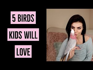 5 Pet Birds Great for Kids | PARRONT TIP TUESDAY