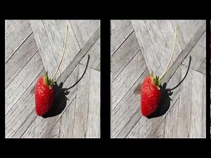 3D Pictures of Food by Alan Becker