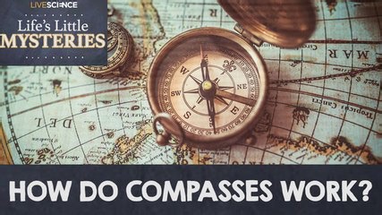 How do compasses work?