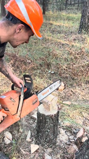 10K views · 15 reactions | #chainsaw #husqvarna #woodcarving | Stutteri Horskilde | Facebook