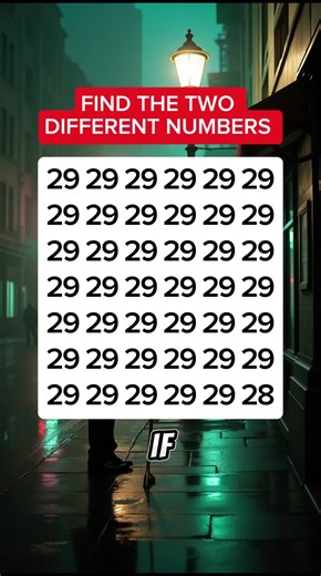 Quiz Craft on TikTok