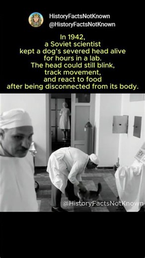 The Soviet Experiment With a Severed Dog Head. #shorts