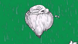 Ink Drawing Loop Animation Over Green Stock Footage Video (100% Royalty-free) 3407569865 | Shutterstock