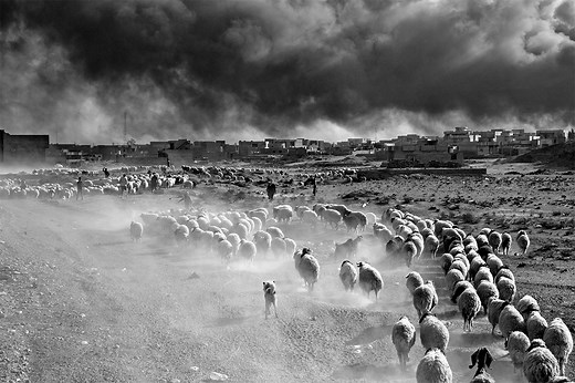 Grand Théâtre de Genève - GTG