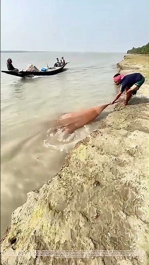 Casting Nets: How Ancient Fishing Techniques Sustain Communities Today