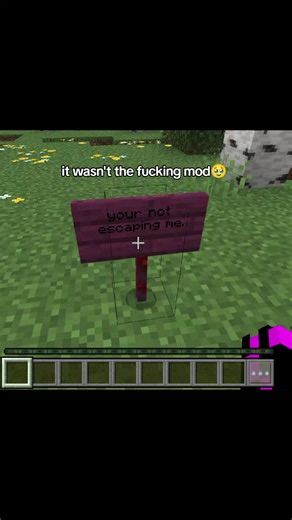 HELPPP #mod #minecraftmod #minecrafthorrormods #minecraft #minecrafthorrormod