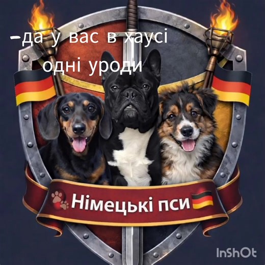 #догхаус #набірзакритий