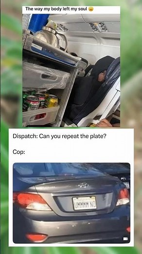 Drivers Share Their Most Creative License Plates and This One Wins 😂 🚘