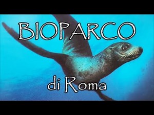 ROME BIOPARK* Tour Bioparco e Rettilario di Roma* ROME BIOPARK TOUR* Another point of view*BIOPARCO*
