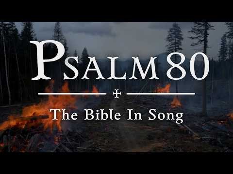 Psalm 80: The Vine & The True Vine | Full Bible Song