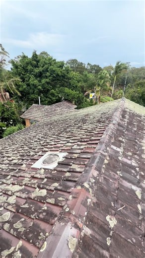 Restoring a 60-Year-Old Terracotta Roof with Soft Washing