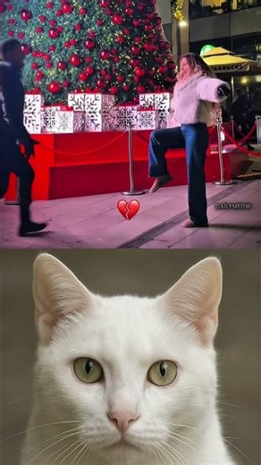 Don’t Laugh Challenge 264🤣