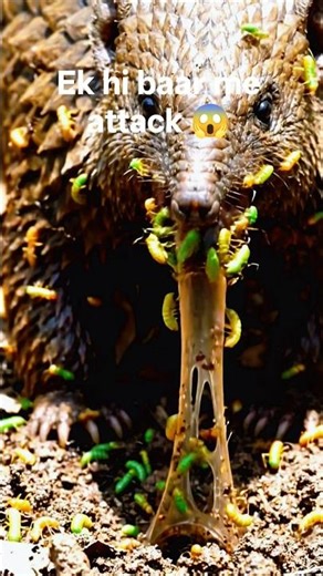 Green Kide Attack 😱#viralvideo