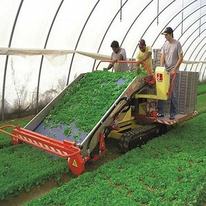 982K views · 10K reactions | Beautiful Vegetable Harvesting In The World Join now: Farm Beats | Amazing Machine | Facebook