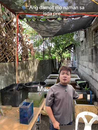 Araykoooo #guppy #mollyfish #bettafish #fyp