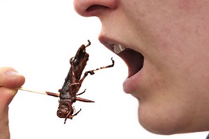 'Start Reading Labels': Food Producers Caught Quietly, Deceitfully Putting Crickets In Our Food