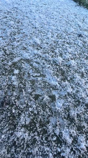 Floor tapping ❤️ #ASMR#tapping