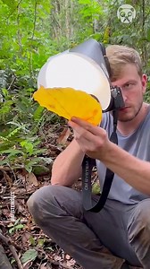 Discover a whole new world using a macro lens Partner: rafisteinles TT: https://www.tiktok.com/@rafisteinles | Science, Tech and Universe