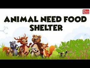 Animals- Food and Shelter Video Lecture | EVS for Class 1