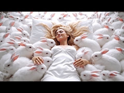 What CALMING Animals Will Help You Fall Asleep Faster Tonight?