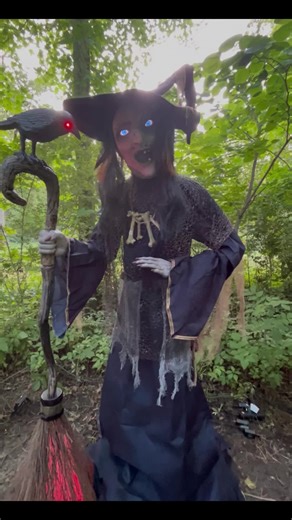 Phantom Manor Animatronics on TikTok