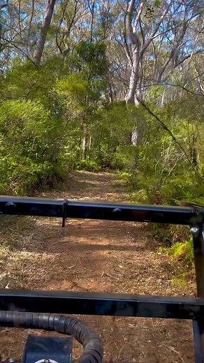 Check out one of the tracks we cleared and cut in recently. Beautiful part of our country 😍 Reach out for a free quote today | RILEY Property Improvement