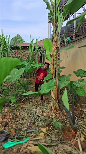 Voting Experience in Uganda 2026: A Humorous Take