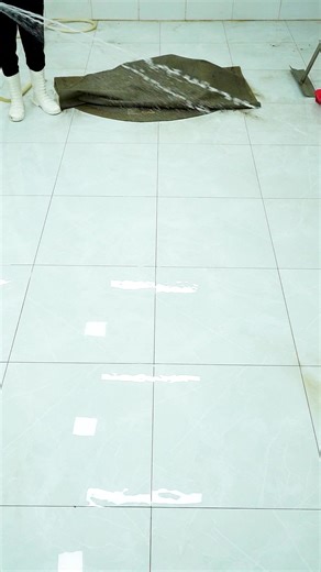 Expert Carpet Cleaning – Satisfying & Precise | So Clean