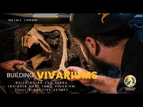 Building an Exo Terra Frog & Co 18x18x18 Dart Frog Vivarium (Full Bioactive Setup)