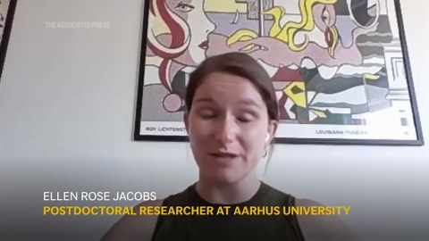 Why dolphins use sponges to catch fish