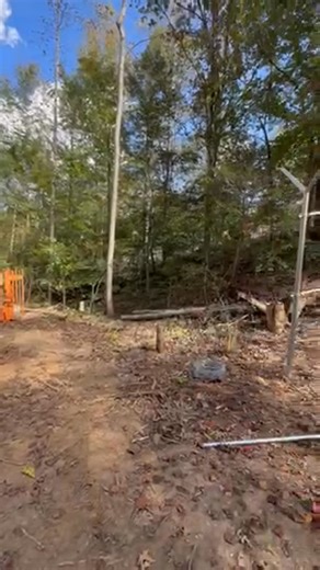 Panorama video of new Wild Enclosure Spaces | Appalachian Bear Rescue