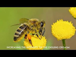 TOP 10 Bizarre Paraphilias.