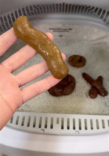 Revolutionize Cat Care with Automatic Litter Boxes