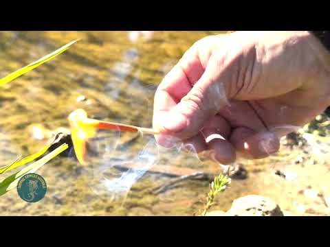 UCO Stormproof Matches: The Ultimate Wet-Weather Fire Starter