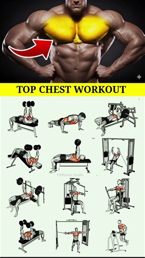 12 Chest Exercises You Must Try 🔥 | Full Chest Workout at Gym